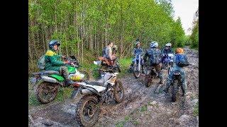 По лесу и болотам на китайских эндуро, первые впечатления MOTOLAND WRX250KT и KAYO K1.