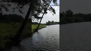 Тарзанка над озером.