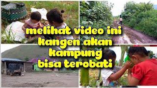 JALAN PARAH DAN PANEN JAGUNG DESA PA CIRLA