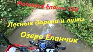 Motoland Enduro 250. Лесные покатушки по лужам. Ищу дорогу  к озеру Еланчик. 13.08.2020 г.