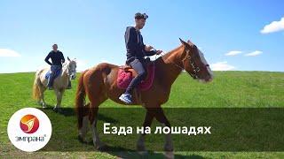 Езда на лошадях: верховая прогулка для истинных любителей природы и этих удивительных животных!