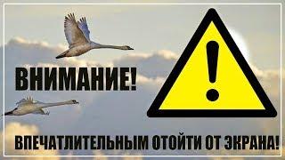 ЭКСТРИМ которого ты не видел | Невероятные приключения | Путешествие по Северной Америке | # 07