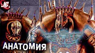 АНАТОМИЯ ПРИШЕЛЬЦЕВ | Пятый элемент 1997
