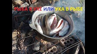 РЫБА В УХЕ ИЛИ УХА В РЫБЕ//СПИНИНГ VS УДОЧКА//