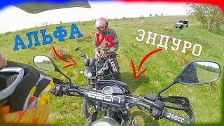 АЛЬФА VS ЭНДУРО Я В ШОКЕ КАК ОНА ЕДЕТ|250СС-125СС