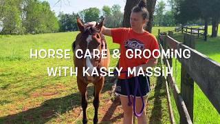 Horse Care & Grooming