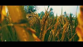 PEMANDANGAN ALAM KOTANOPAN | CINEMATIC TRAVEL VIDEO