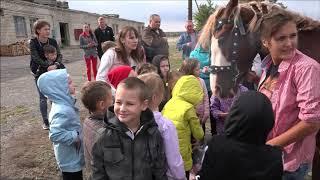 Урюпинск  Катание на лошадях для детей и взрослых