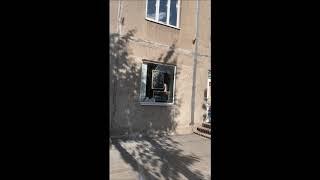 Магнитогорск  Ужасы нашего городка
