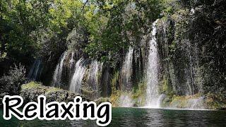 Музыка для релаксации и медитации /Beautiful Relaxing Music for Stress Relief