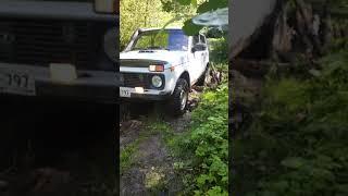 покатушки на нивах