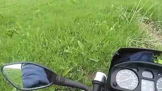 Покатушки по бездорожью на ТМЗ