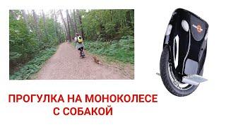 Покатушки на моноколесе с собакой