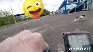 Электросамокат из гироскутера "БЕШЕНАЯ ТАБУРЕТКА"