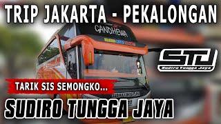 BUS SUDIRO TUNGGA JAYA GANDHEWA JAKARTA PEKALONGAN - BUS STJ PEKALONGAN