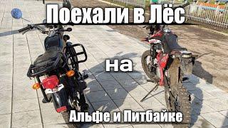 Покатушки по ЛЁСУ на Мопеде Альфа с Питбайком I перезалив ! 20 лайков = новый видос