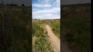 летние покатушки на карьере