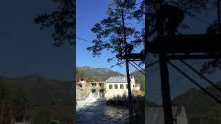 Тарзанка. Свободное падение. Горный Алтай. Чемальская ГЭС
