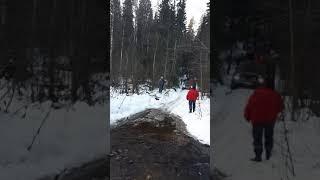 Димарик по ручью