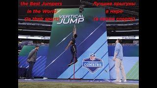 #Top 5 highest jumps in sport 2020. #Топ 5 самых высоких прыжков в спорте 2020