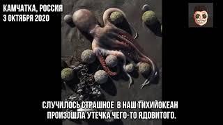 ЭКОЛОГИЧЕСКАЯ КАТАСТРОФА НА КОМЧАТКЕ | ТИХИЙ ОКЕАН
