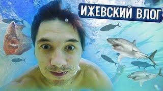 Влог. Поездка в Ижевск.
