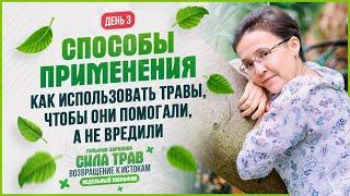БСП 3 Сила-трав: День 3