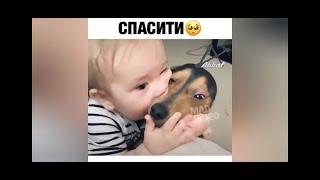 #смешноевидео, #смешнаяподборка             Подборка лучших видео из инстаграм август 2020 часть 3