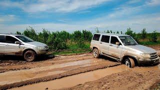 Кайрон ПРОТИВ НИВЫ и УАЗ патриот /  SSANGYONG KYRON  на бездорожье