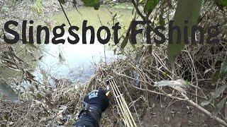 Сазан после Наводнения.Slingshot Fishing
