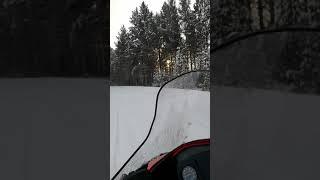 Покатушки на снегоходе , 31.12.19, Уяр