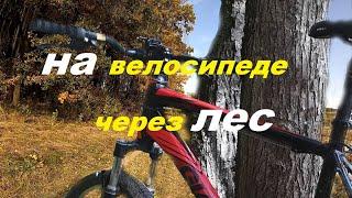 Покатушка на велосипеде через лес / Mountain biking in the forest