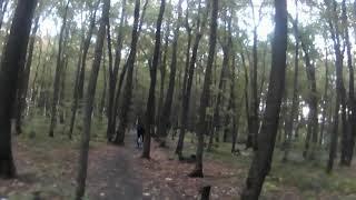 Покатушки на велосипеде с другом