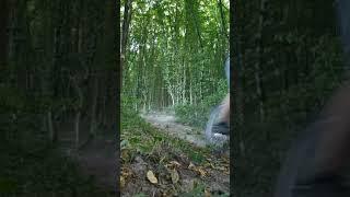 Покатушки на велосипеде | в лесу #1