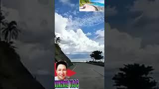 ROAD TRIP