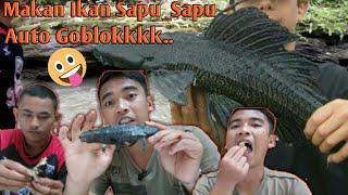 Memburu Ikan Aneh di Sungai||Ikan Sapu_Sapu||Mukbang extrim
