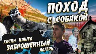 Однодневный поход с собакой  | Прогулялся с ХАСКИ в лесу