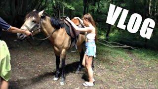 VLOG: верхом на лошади, серпантин и горы ♡  | НАСТЯ СМИ