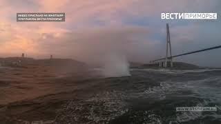 Улетное видео морской прогулки аквабайкеров во время тайфуна "Майсак" обсуждает Сеть