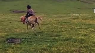Ловкий пацан 