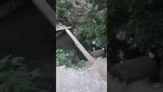 Покатушки!!