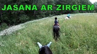 Jašana ar zirgiem. Horse riding. Вечерняя прогулка по июньским травам.