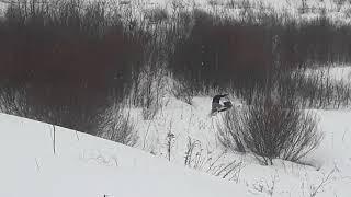 Самодельный прогулочный снегоход