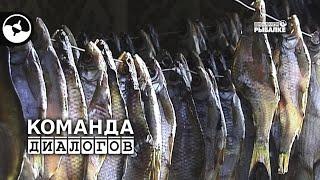 Весенняя рыбалка под Саратовом | Классика