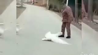 Уличные драки между друзьями...