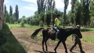 Я и Мишка первый раз верхом на лошади.