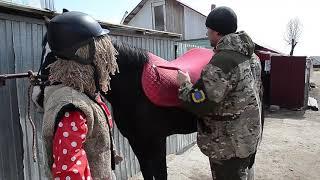 Клип для конкурса  - Делай на все 100 в конном клубе Золотая Подкова