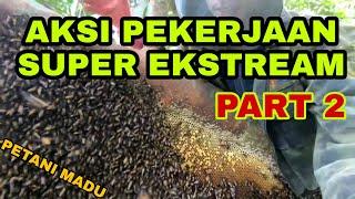 AKSI PEKERJAAN SUPER EKSTREAM PART 2  | PETANI MADU