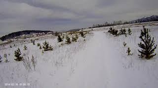Покатушки на снегоходе 10 01 15