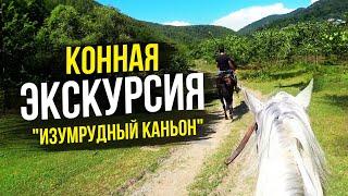 кони